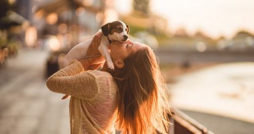 use pet therapy as a form of social self-care